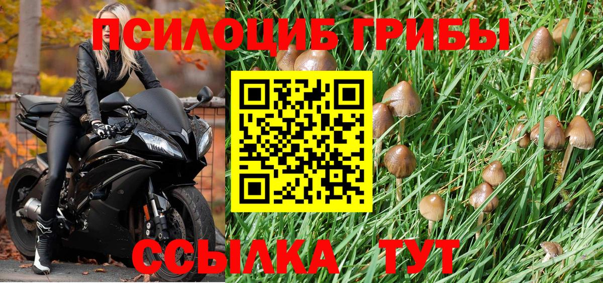 Галлюциногенные грибы Cubensis  Вход с VPN  Белово 